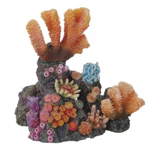 HAQUOSS REEF DREAM 10 - 18x12,5x18h cm